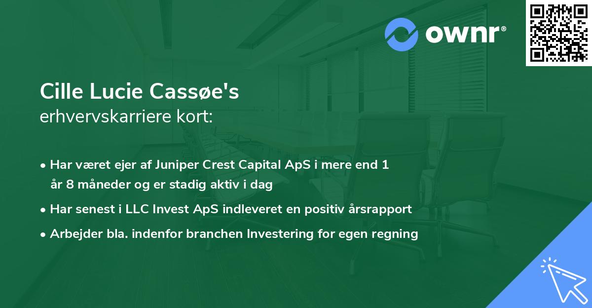 Cille Lucie Cassøe's erhvervskarriere kort