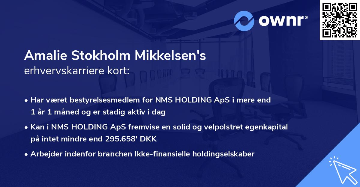Amalie Stokholm Mikkelsen's erhvervskarriere kort