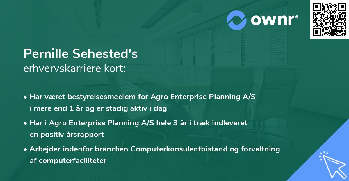 Pernille Sehested's erhvervskarriere kort