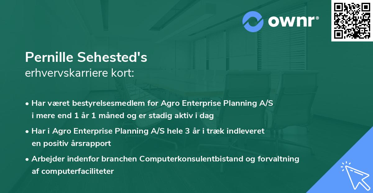 Pernille Sehested's erhvervskarriere kort