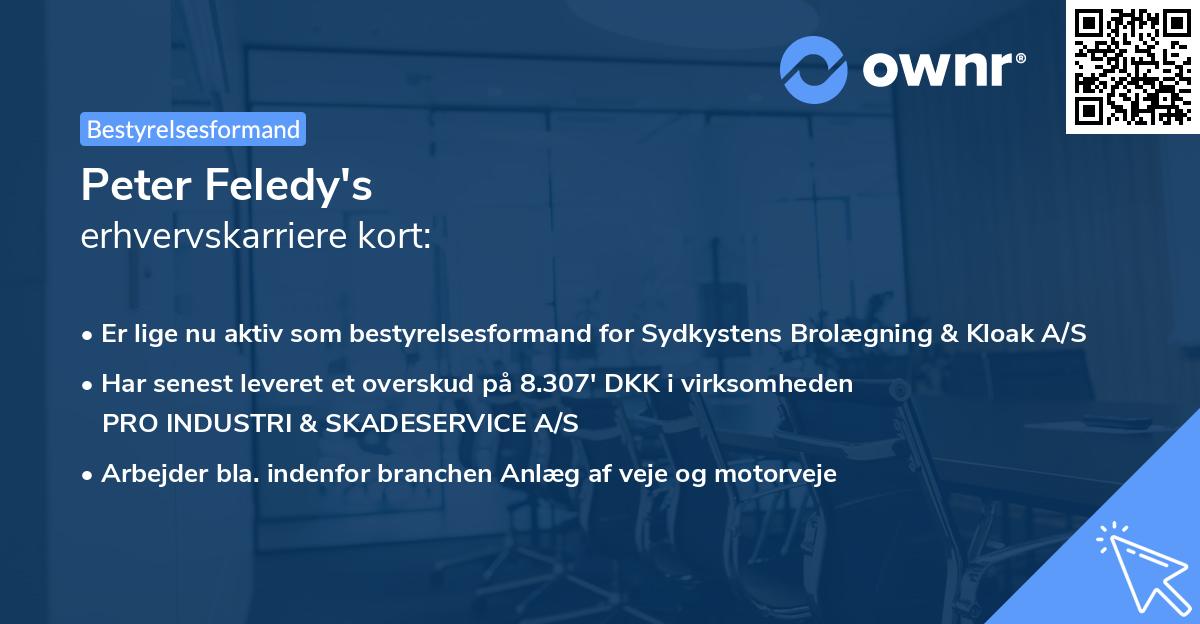 Peter Feledy's erhvervskarriere kort