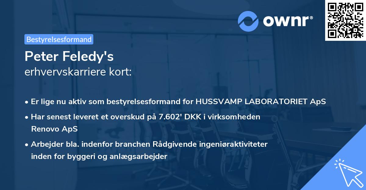 Peter Feledy's erhvervskarriere kort