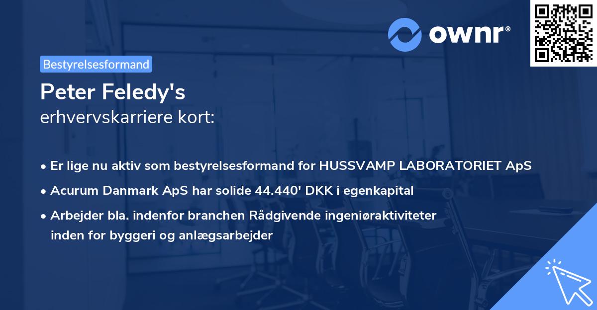 Peter Feledy's erhvervskarriere kort