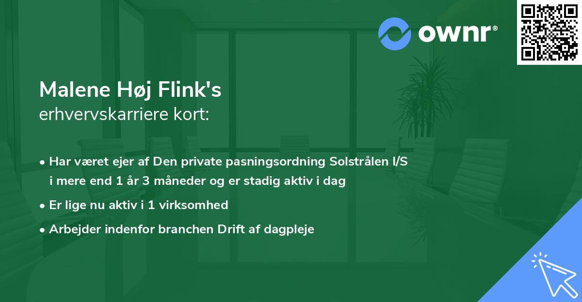 Malene Høj Flink's erhvervskarriere kort
