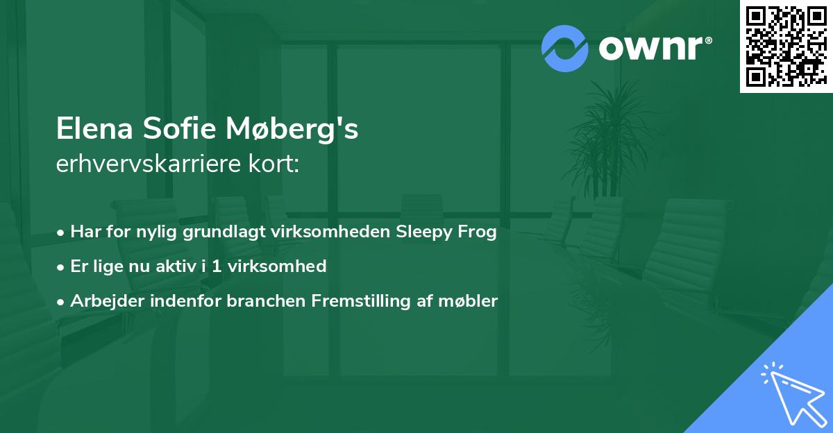 Elena Sofie Møberg's erhvervskarriere kort