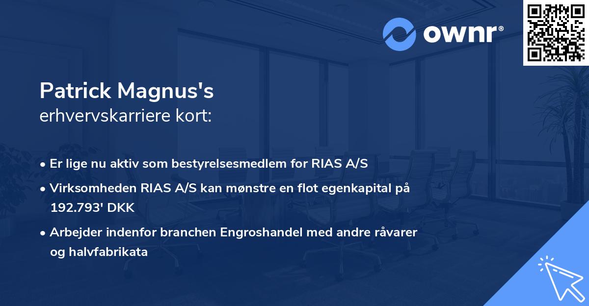 Patrick Magnus's erhvervskarriere kort