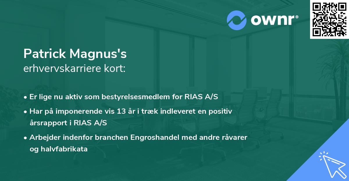 Patrick Magnus's erhvervskarriere kort