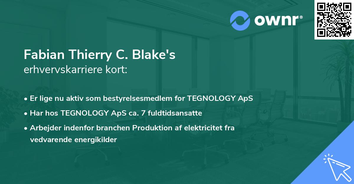 Fabian Thierry C. Blake's erhvervskarriere kort