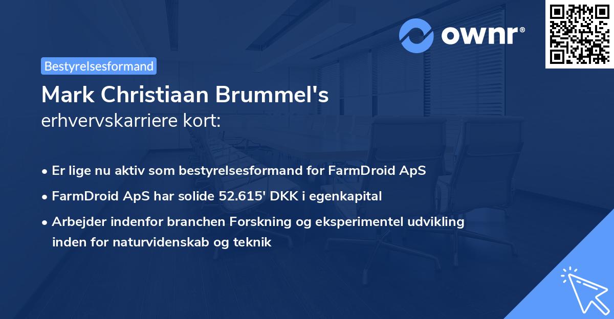 Mark Christiaan Brummel's erhvervskarriere kort