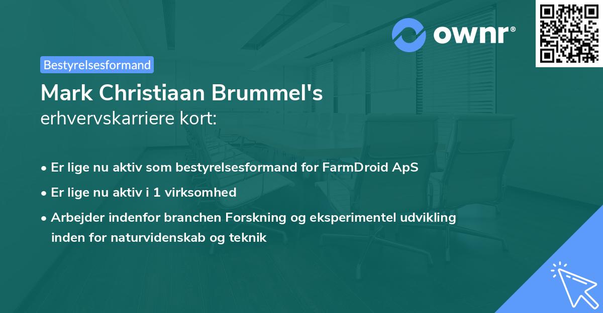 Mark Christiaan Brummel's erhvervskarriere kort