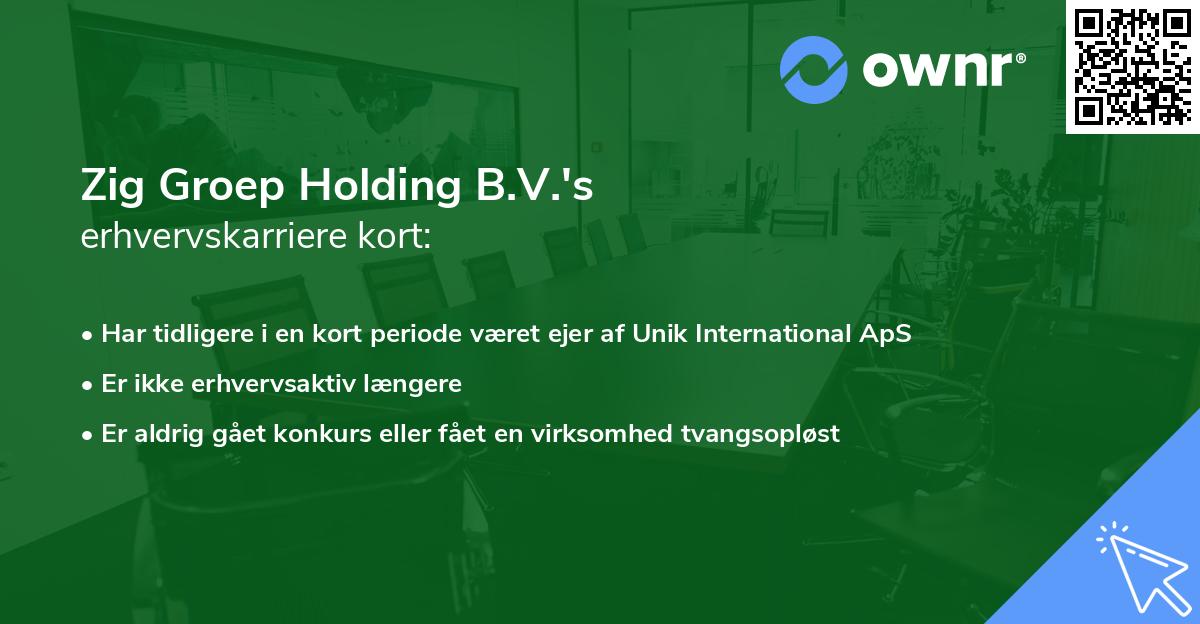 Zig Groep Holding B.V.'s erhvervskarriere kort