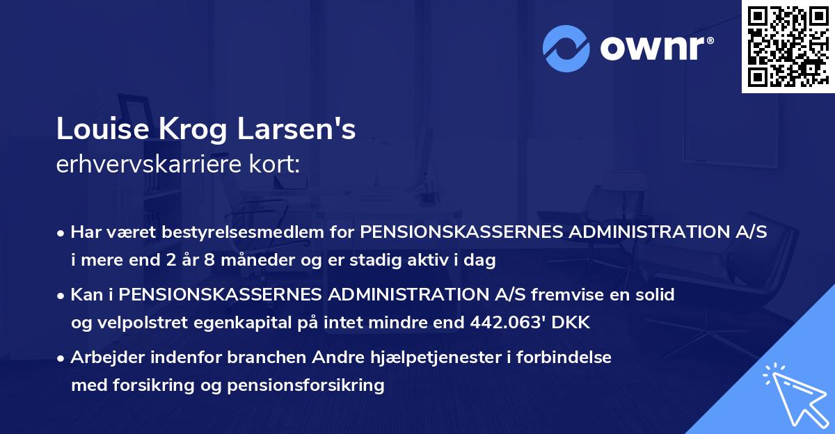 Louise Krog Larsen's erhvervskarriere kort