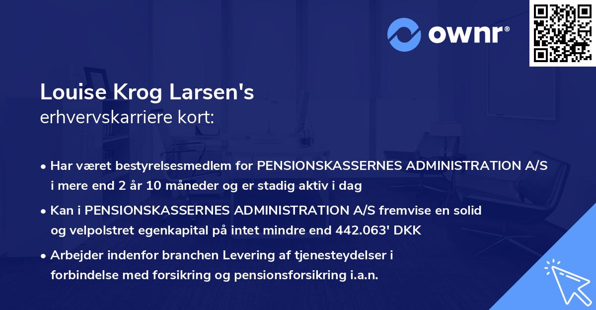 Louise Krog Larsen's erhvervskarriere kort