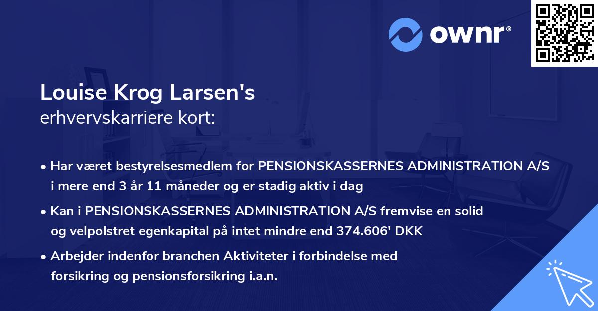 Louise Krog Larsen's erhvervskarriere kort