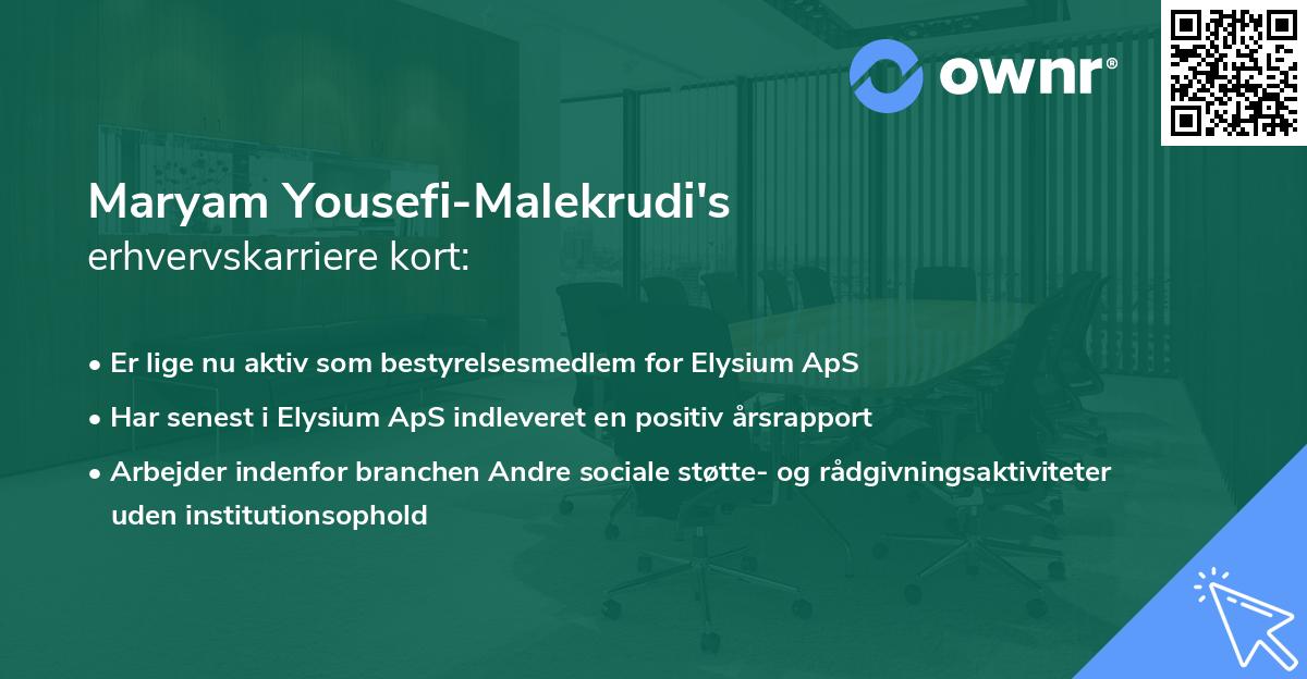 Maryam Yousefi-Malekrudi's erhvervskarriere kort