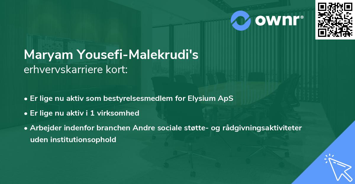 Maryam Yousefi-Malekrudi's erhvervskarriere kort