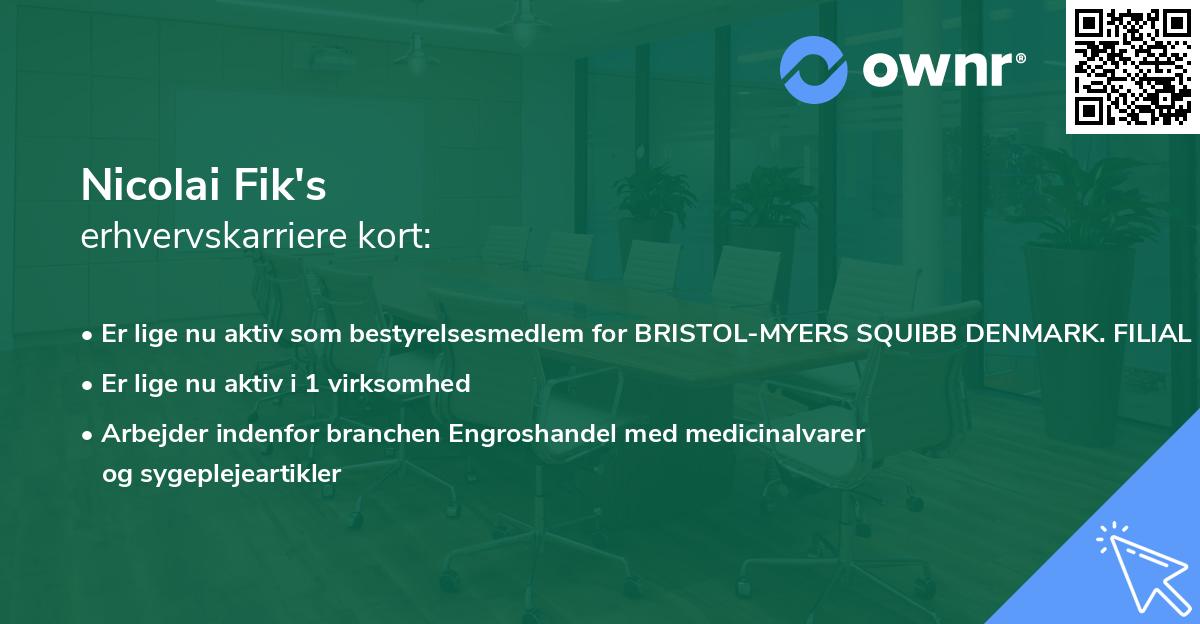 Nicolai Fik's erhvervskarriere kort