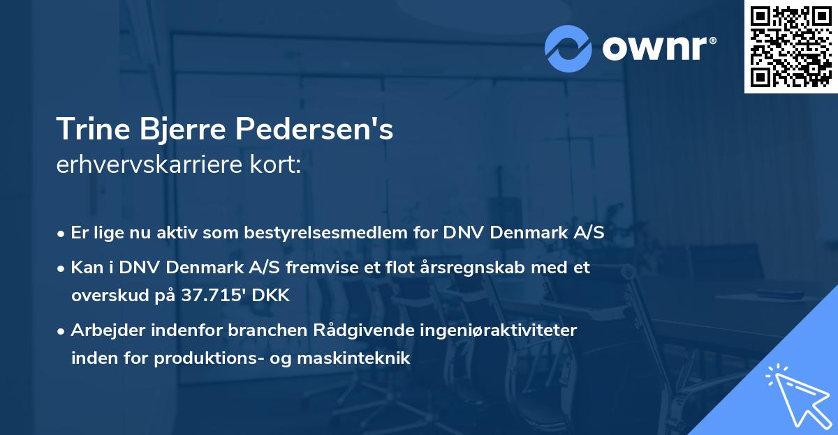 Trine Bjerre Pedersen's erhvervskarriere kort