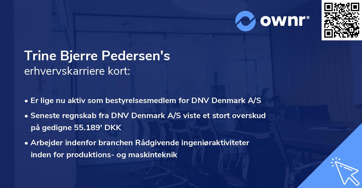 Trine Bjerre Pedersen's erhvervskarriere kort