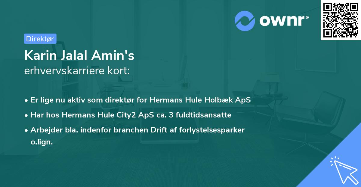 Karin Jalal Amin's erhvervskarriere kort