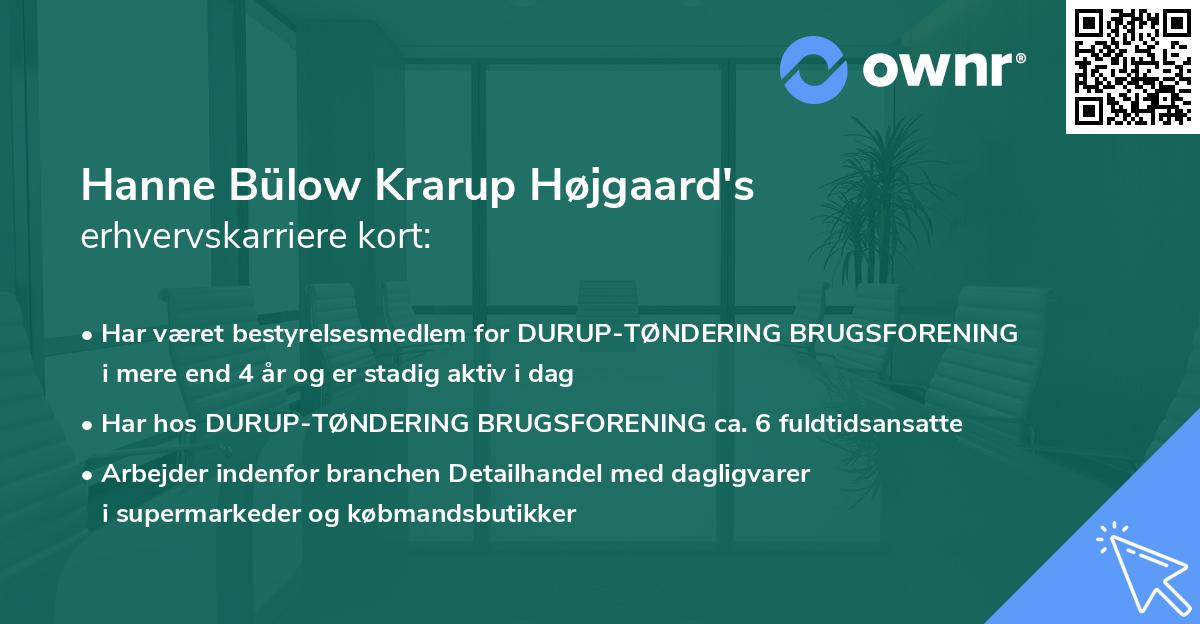 Hanne Bülow Krarup Højgaard's erhvervskarriere kort