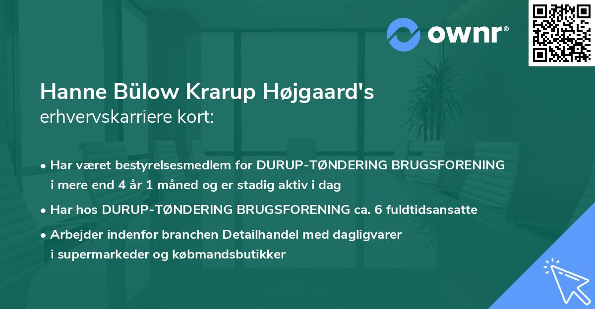 Hanne Bülow Krarup Højgaard's erhvervskarriere kort