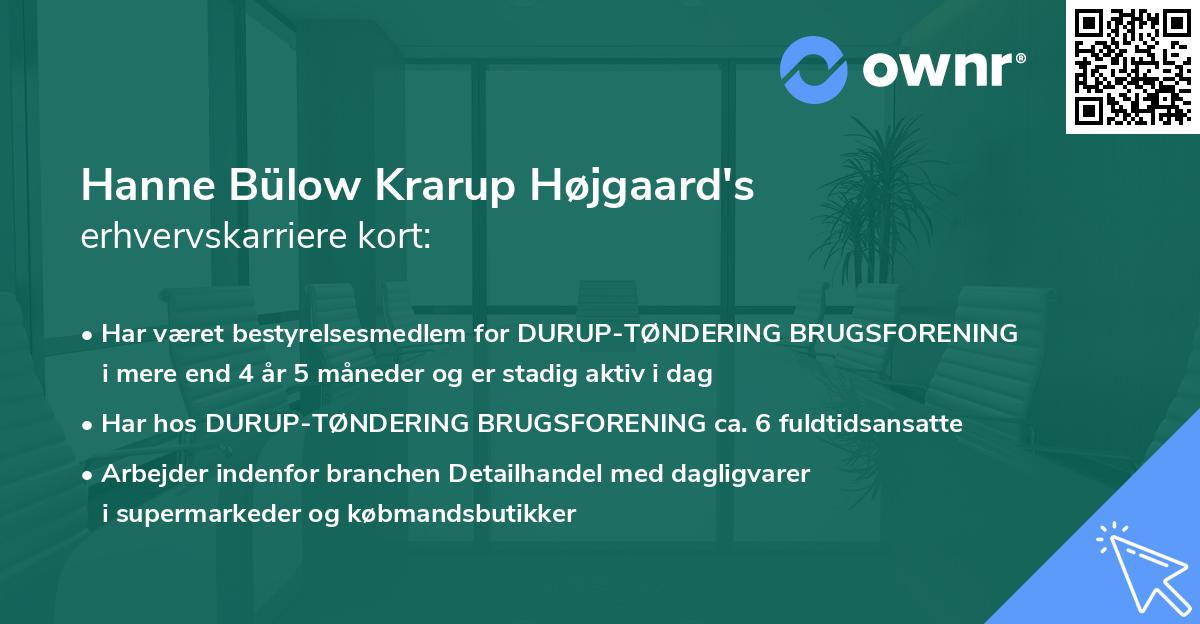 Hanne Bülow Krarup Højgaard's erhvervskarriere kort