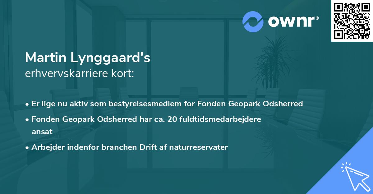 Martin Lynggaard's erhvervskarriere kort