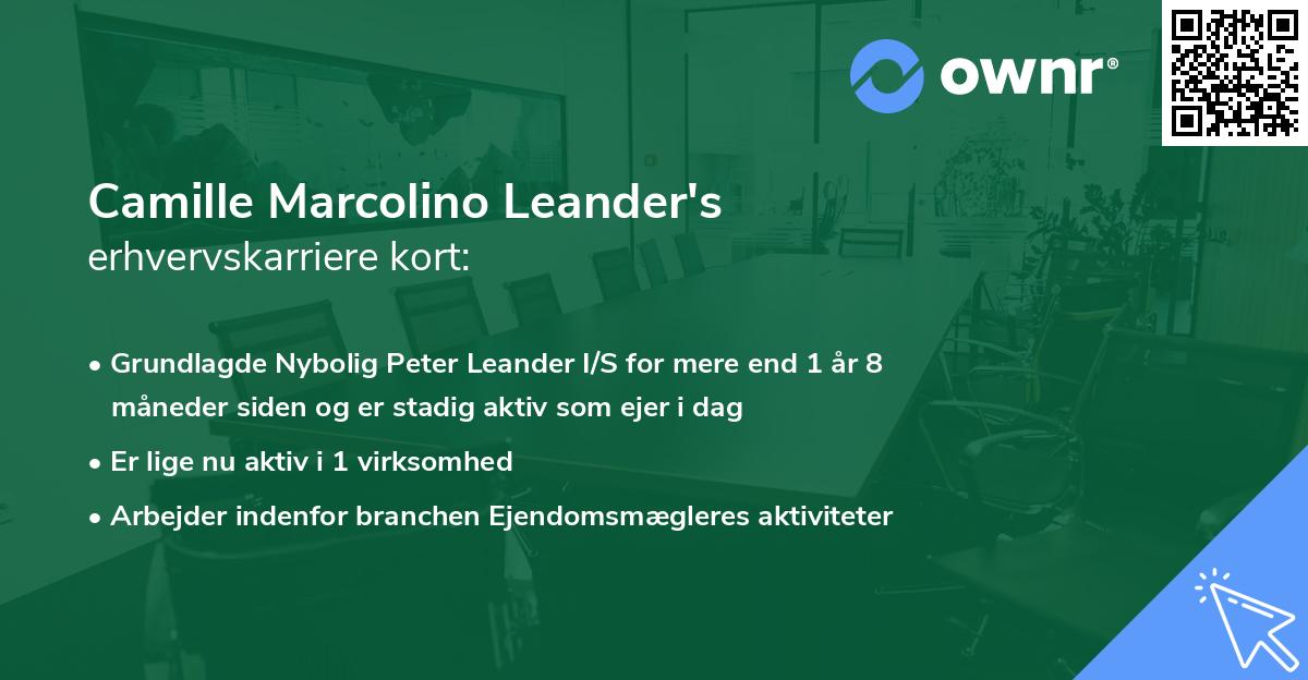 Camille Marcolino Leander's erhvervskarriere kort