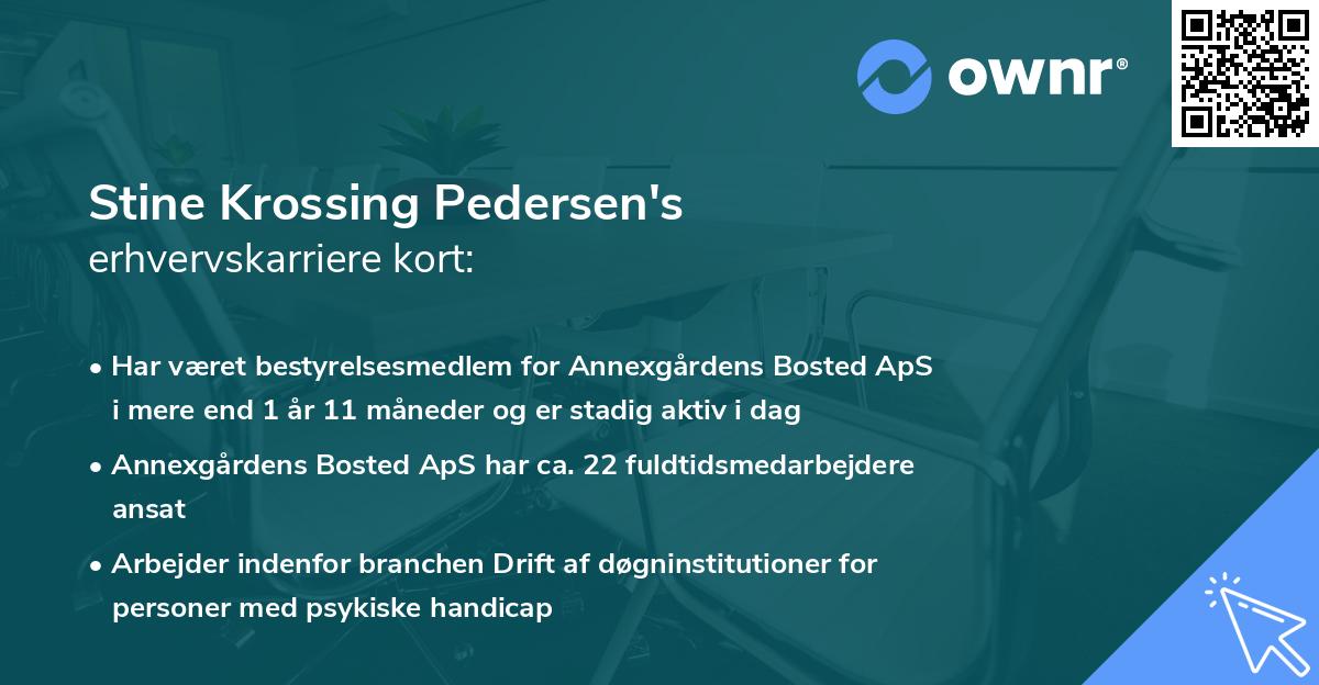 Stine Krossing Pedersen's erhvervskarriere kort