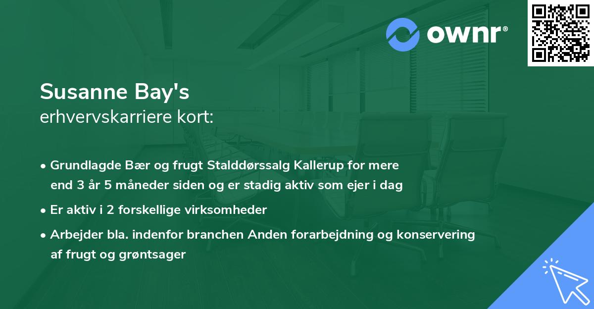 Susanne Bay's erhvervskarriere kort