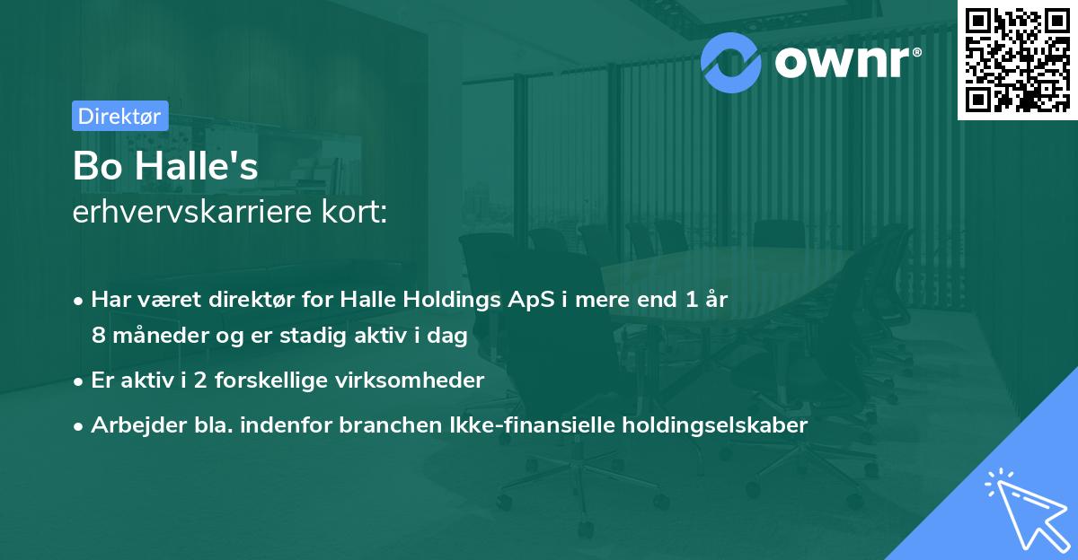 Bo Halle's erhvervskarriere kort