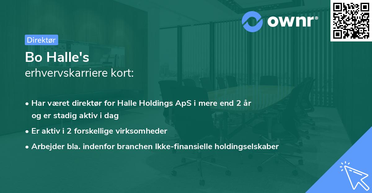 Bo Halle's erhvervskarriere kort