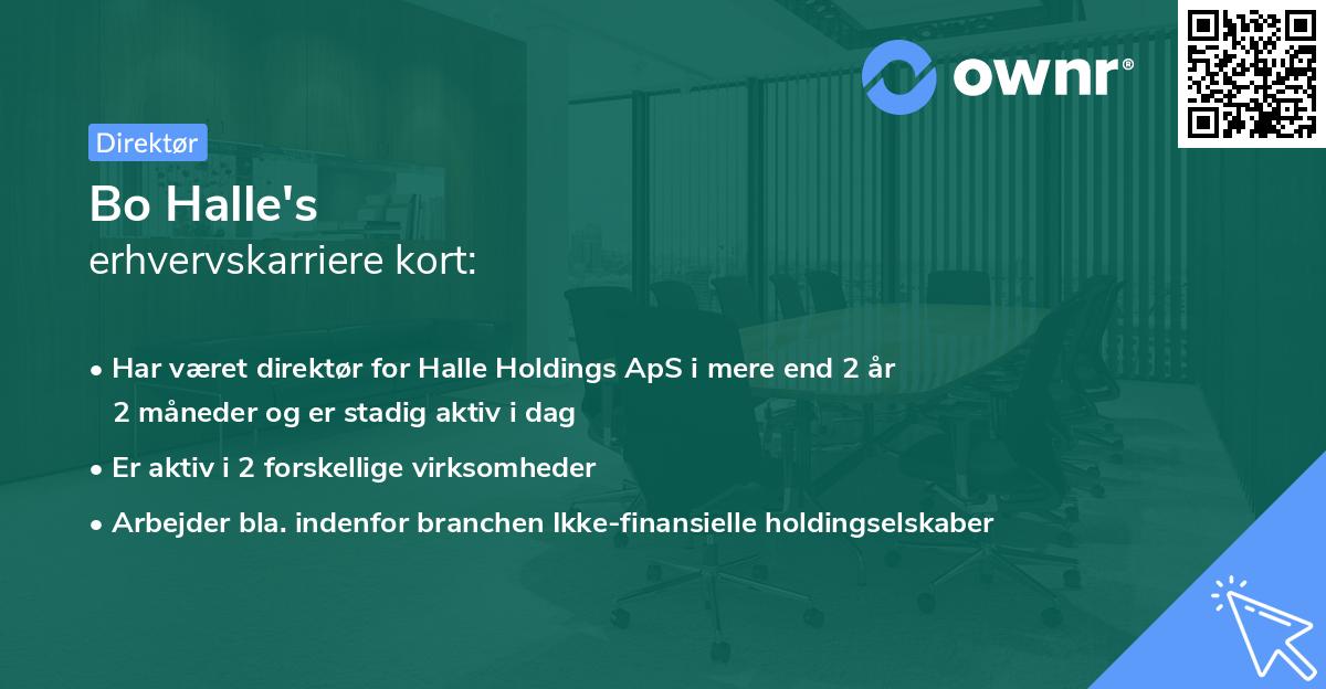 Bo Halle's erhvervskarriere kort