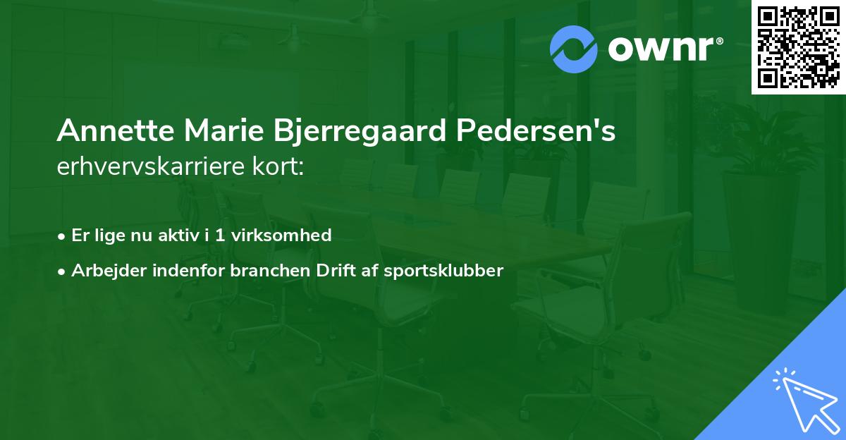 Annette Marie Bjerregaard Pedersen's erhvervskarriere kort