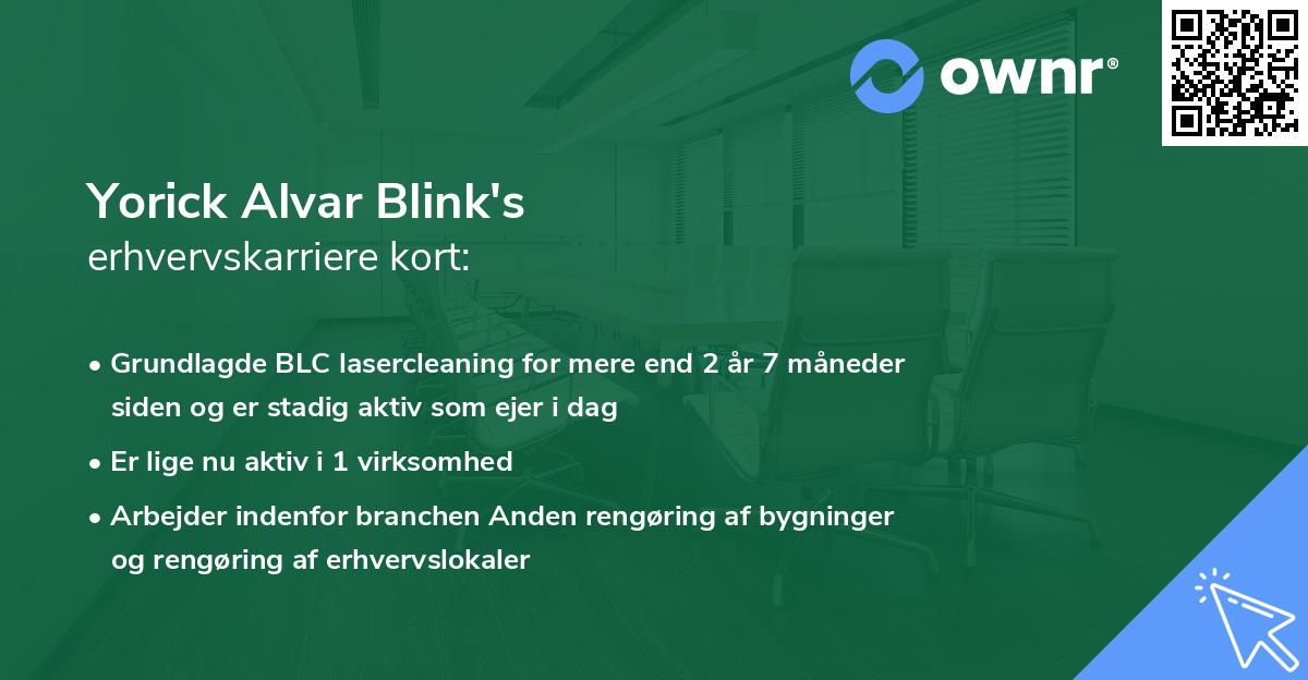 Yorick Alvar Blink's erhvervskarriere kort