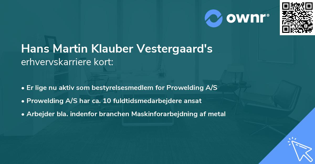 Hans Martin Klauber Vestergaard's erhvervskarriere kort