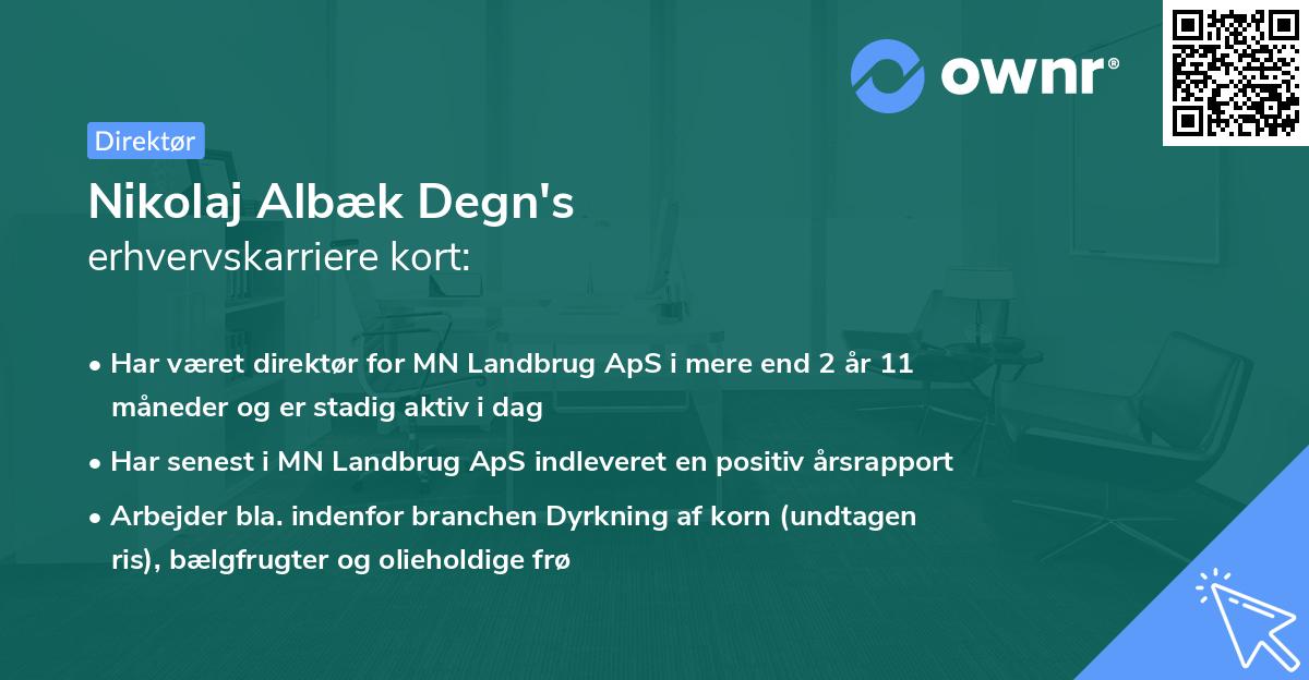 Nikolaj Albæk Degn's erhvervskarriere kort