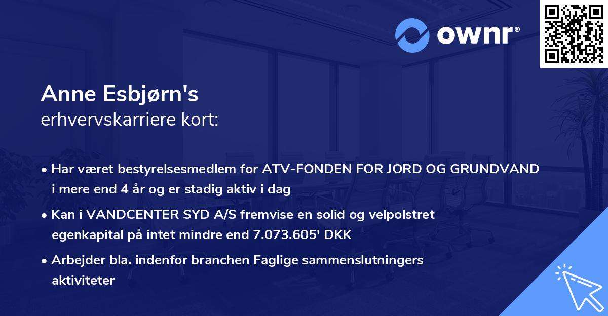Anne Esbjørn's erhvervskarriere kort