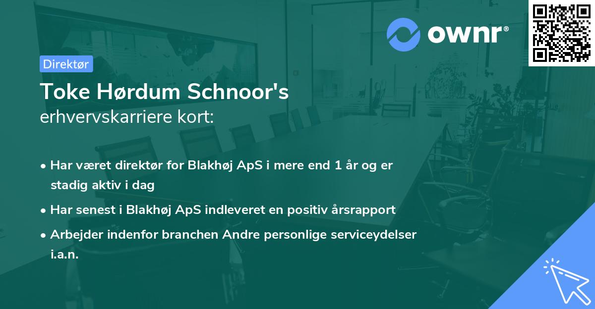 Toke Hørdum Schnoor's erhvervskarriere kort
