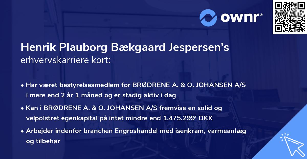 Henrik Plauborg Bækgaard Jespersen's erhvervskarriere kort