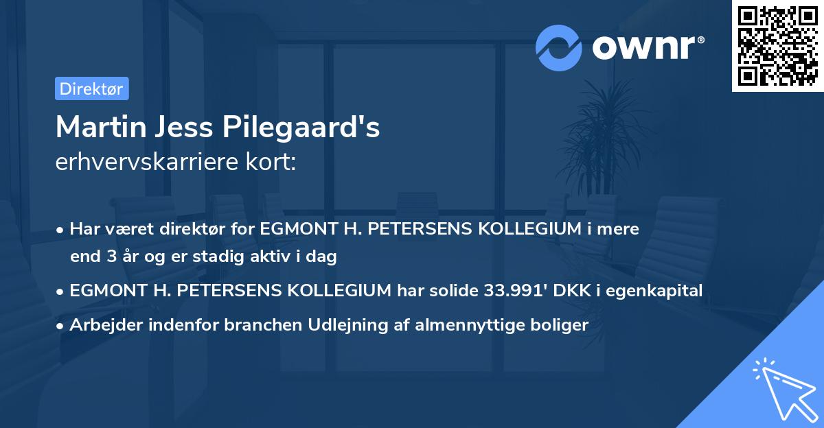 Martin Jess Pilegaard's erhvervskarriere kort
