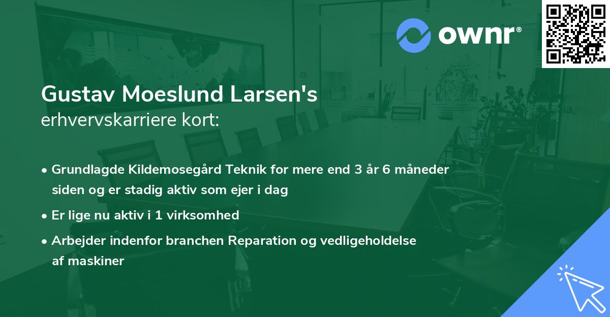 Gustav Moeslund Larsen's erhvervskarriere kort