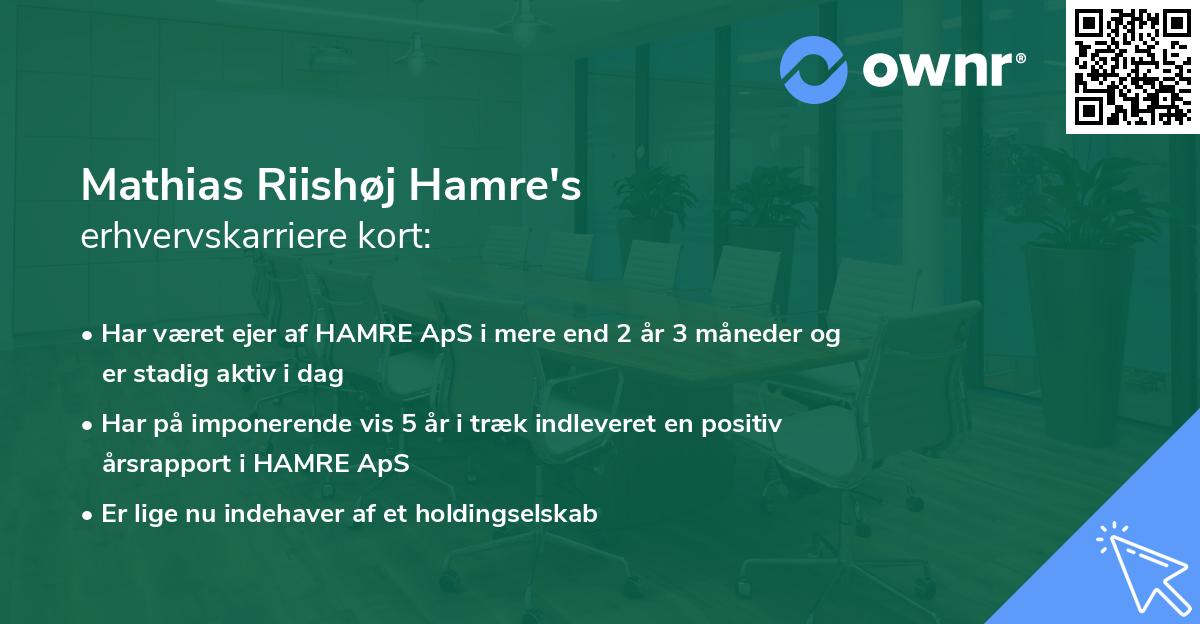 Mathias Riishøj Hamre's erhvervskarriere kort