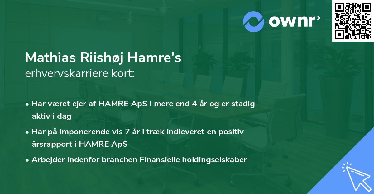 Mathias Riishøj Hamre's erhvervskarriere kort