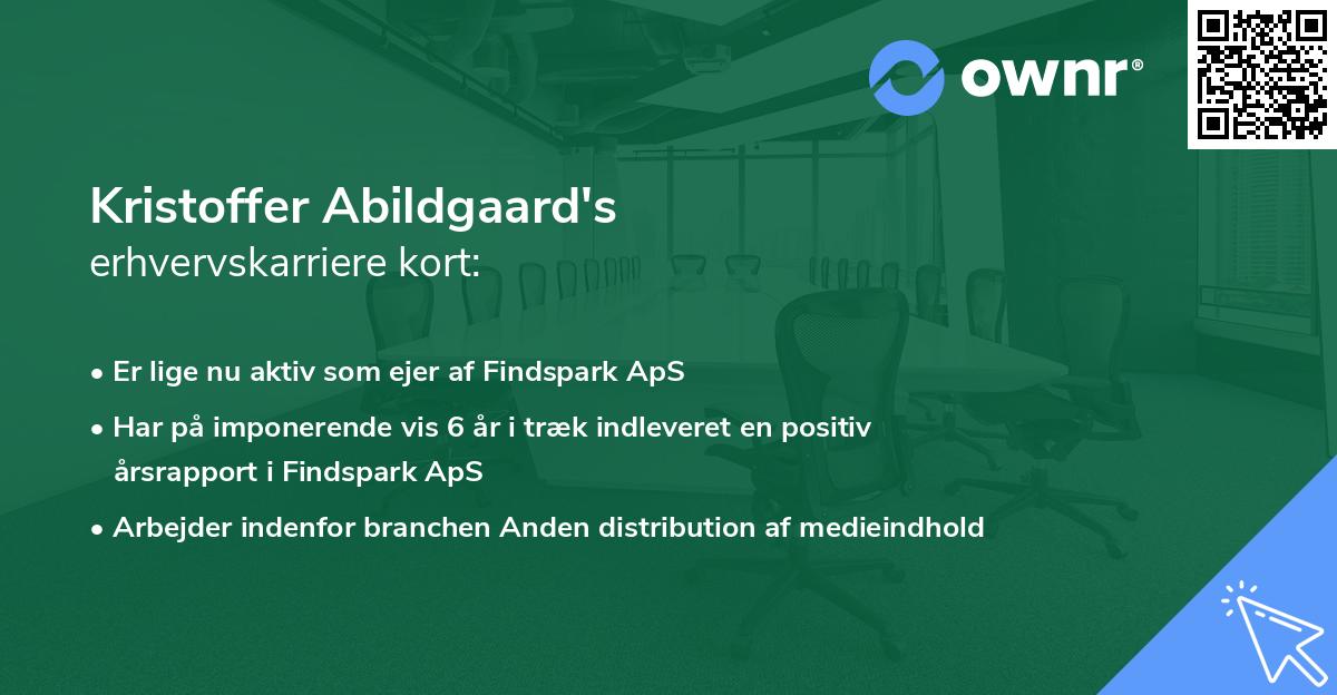 Kristoffer Abildgaard's erhvervskarriere kort