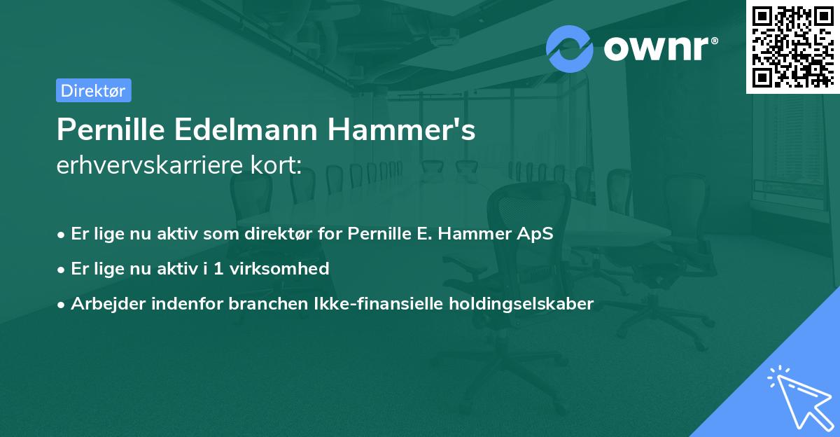 Pernille Edelmann Hammer's erhvervskarriere kort