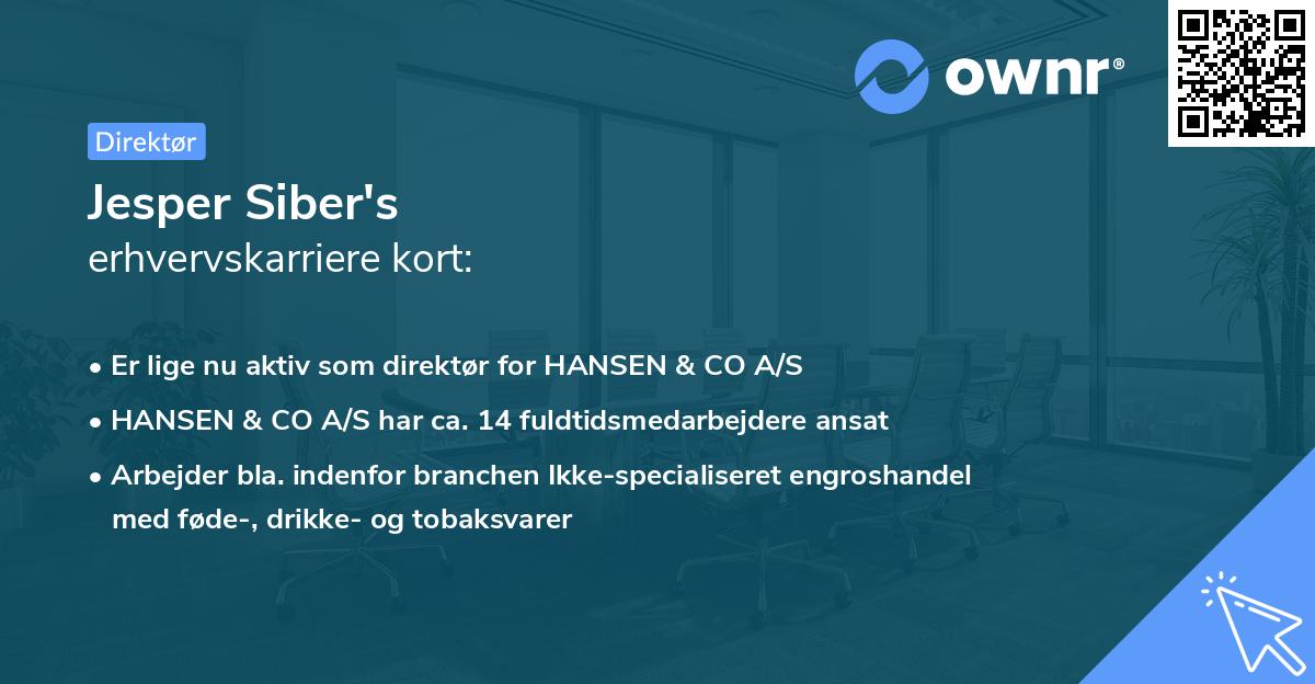 Jesper Siber's erhvervskarriere kort