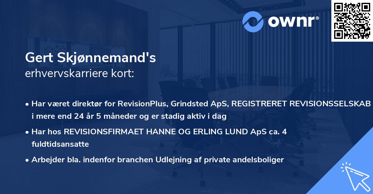 Gert Skjønnemand's erhvervskarriere kort