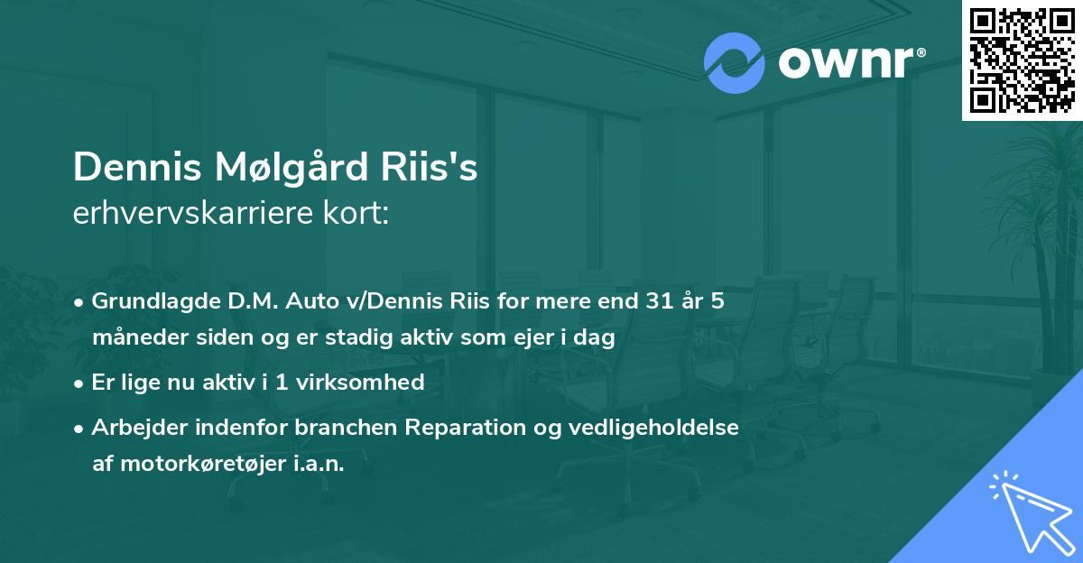 Dennis Mølgård Riis's erhvervskarriere kort
